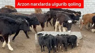 Arzon buqachalar qulay narxlarda shoshiling. 15 01 2024.