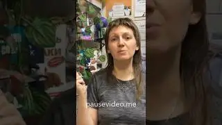 Как правильно наказывать кошку или собаку?