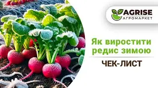 Чек-лист по вирощуванню редиски в зимній період | Agrise рекомендує !