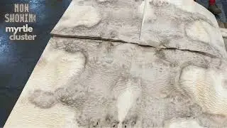 Myrtle Cluster architectural veneer