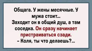 Kolya couldn't resist! A collection of fresh jokes! Humor!