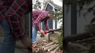 Chopping up a tree #youtubeshorts #firewood #cottagelife
