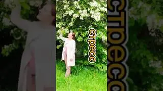 Стрессы. Как выйти из стресса.