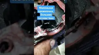 #папаможет