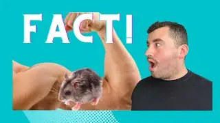 12 Interesting Facts You Didn't Ask For!