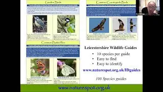 Wildflowers and Ecology of a Summer Meadow