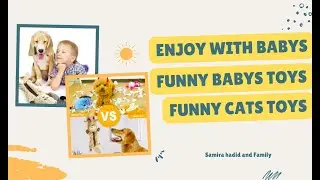 Baby Cats - Cute and Funny Baby Cat / Baby and Cat Fun and Cute - Funny Baby Video