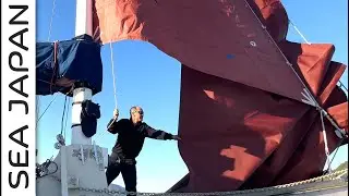 17 years OLD and time to RETIRE!  We bend on a new Genoa! Plus add small jib to our new inner stay.