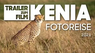 Trailer zum Film: Fotosafari durch Kenia (Samburu, Solio Game Reserve, Masai Mara und Amboseli)