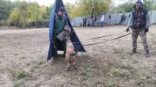 КСПД 