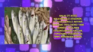 Balık Etinin Faydaları