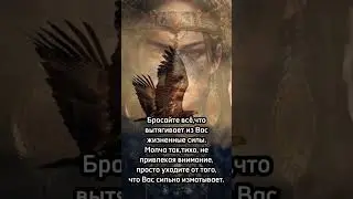 14 мая 2024 г.
