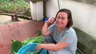 Món Ăn Quê Hương Tôi . ( Tiếu Hoạ Mi )