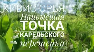 В поисках горы Кивисюрья.