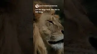 Let Them Talk.