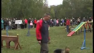 Презентація роботи гуртка 