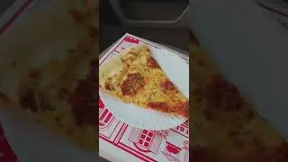 Pizza Review - Paladino’s Pizza #pizza #pizzareview #syracuse #315 #cny #trending #trendingnow