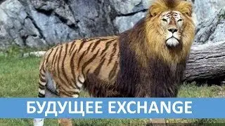 Будущее Exchange и гибридный сценарий.