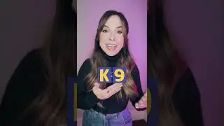 Significados curiosos do inglês: o cachorro K9