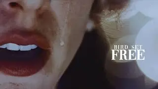 Bird Set Free [INTERNATIONAL WOMAN'S DAY/Collab]