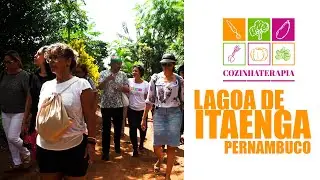 COZINHATERAPIA EM LAGOA DE ITAENGA #vivencia #agroecologia