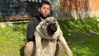 WE BOUGHT THE PUPPY OF A DOG WORTH 100,000 EURO!