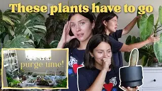 Can't Let Go of My Plants and Here's Why