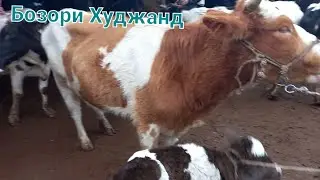 Мол Бозори Худжанд гов Оча Бача 26.12.2021