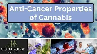 Anti-Cancer Properties of Cannabis