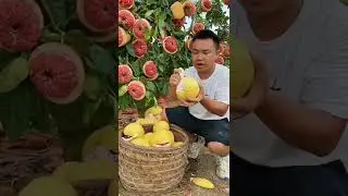 Chines Tik tok   shorts youtube,shorts tiktok,   | Fruit Art| 