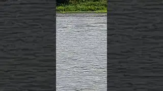 REPUESTA DIVINA DEL SEÑOR
