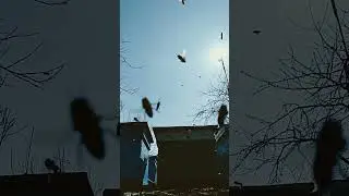 Март. Полёт любимых ....♥️
