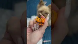 Распаковка Базовой Торалей🐱 Полное видео уже на канале🧊.    #распаковка#монстерхай#распаковкакукол