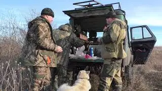 Охота на лису с норными собаками. Добыли сразу двух лис с одной норы. Two foxes in one hole