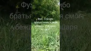 #музыка #гномы #боже #тренд #существа #рыцари #мем #юмор #прикол #жиза
