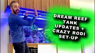Dream Reef Tank - Making Progress Crazy RODI Setup