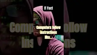 Decoding the Digital Realm: Facts You Can't Ignore!