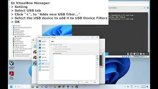 Add USB Filter in VirtualBox to make USB device auto attach