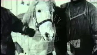 Captain Scott in Antarctic with pony.  Film 91077
