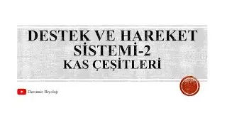 11. Sınıf Destek ve Hareket Sistemi - 2 (Kas Çeşitleri)