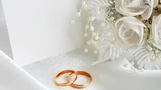 СВАДЬБА Сергея и Юлии