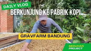 Berkunjung ke pabrik kopi di Bandung - Gravfarm