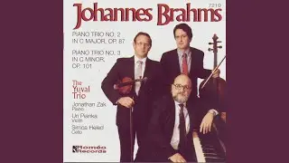 Piano Trio No. 3 In C Minor, Op. 101: Allegro molto