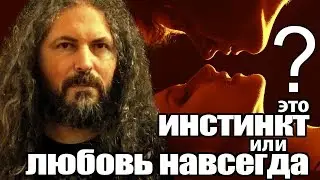 Это инстинкт или любовь навсегда?