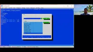 PASCAL   input,output