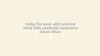 ꒰🍊꒱ Aesthentic Stray Kids Username