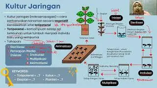 Bioteknologi Kelas 12 pt.1 - Tahapan Kultur Jaringan
