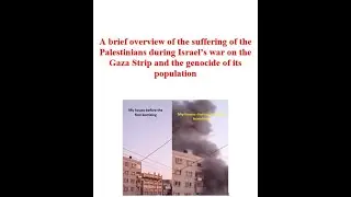 A brief overview of the suffering of the Palestinians during Israel’s war on the Gaza Strip