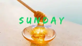 Daniel Levi - Honey《Sunday No Copyright Music》