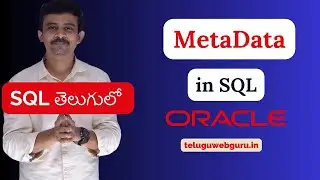What is MetaData in DBMS explained in telugu by telugu web guru